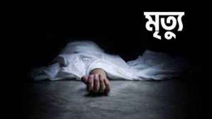 সাতকানিয়ায় বিদ্যুৎস্পর্শে দু'সন্তানের জননীর মৃত্যু