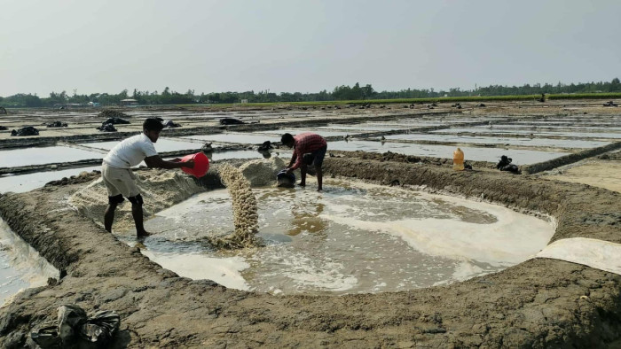 বৃষ্টির বাধায় বন্ধ লবণ উৎপাদন, ব্যাহত লক্ষ্যমাত্রা