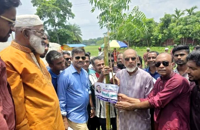 পিরোজপুরে জিয়াউর রহমান ফাউন্ডেশনের আয়োজনে নিমগাছ রোপন
