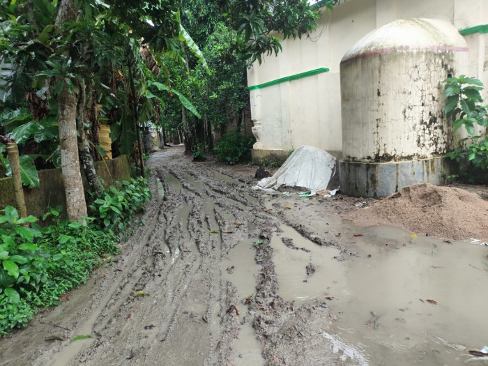 তাড়াইলে বান্দুলদিয়া রাস্তার বেহাল অবস্থা