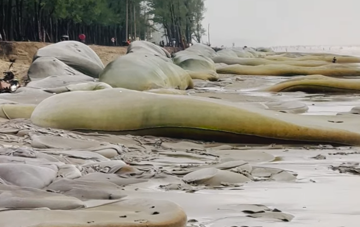 কক্সবাজার সমুদ্র তীরে ভাঙনরোধে নেই উদ্যোগ