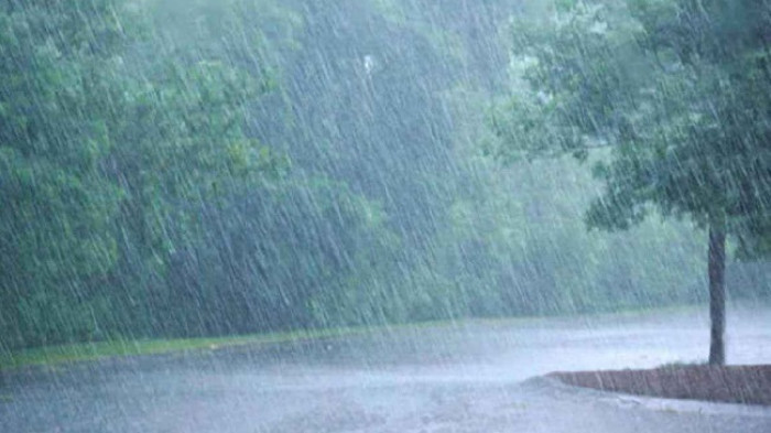 সংগৃহীত ছবি সংগৃহীত ছবি