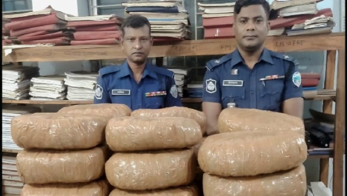 কসবায় ৪৮ কেজি গাঁজা উদ্ধার, আটক ১