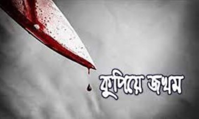 ফাইল ছবি ফাইল ছবি