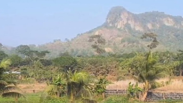 ছবি : সংগৃহীত ছবি : সংগৃহীত