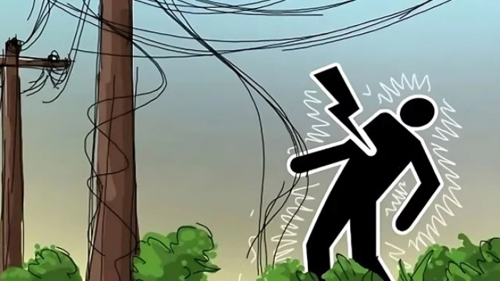 ছবি : সংগৃহীত ছবি : সংগৃহীত