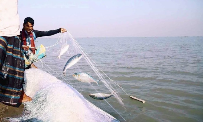 শেষ হচ্ছে নিষেধাজ্ঞা, মধ্যরাতে ইলিশ শিকারে নামবেন জেলেরা