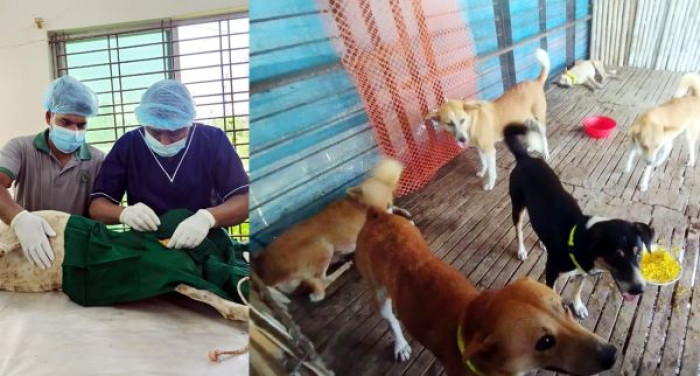 ছবি: ভোরের আকাশ ছবি: ভোরের আকাশ