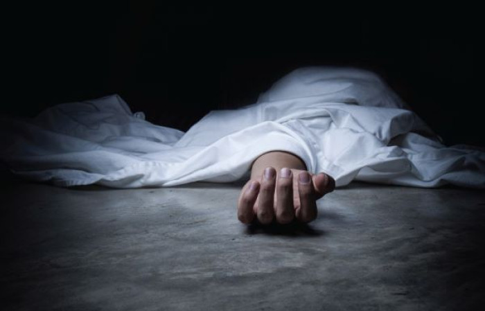 ফাইল ছবি ফাইল ছবি