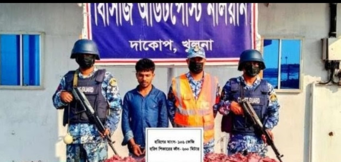 ছবি সংগ্রহীত ছবি সংগ্রহীত