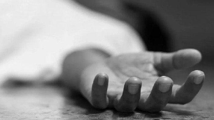 ছবি : সংগৃহীত ছবি : সংগৃহীত