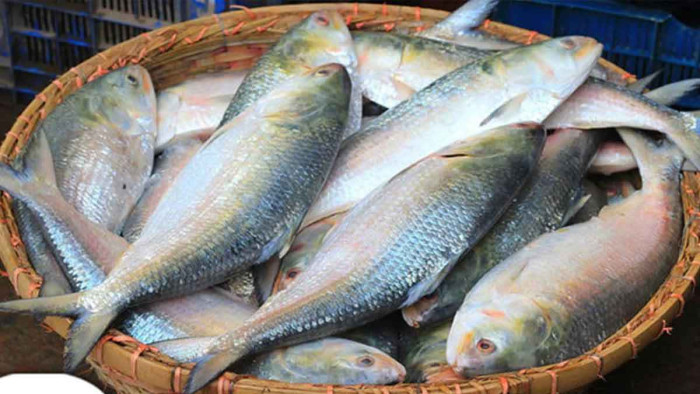 সংগৃহীত ছবি সংগৃহীত ছবি