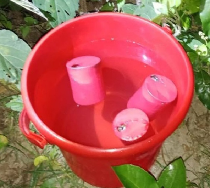 যশোরের শার্শায় পরিত্যক্ত তিনটি ককটেল উদ্ধার