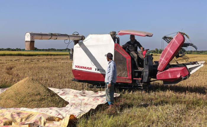 শ্রমিক সংকটে মেশিনে ধান কেটে লাভবান গোয়াইনঘাটের কৃষকরা