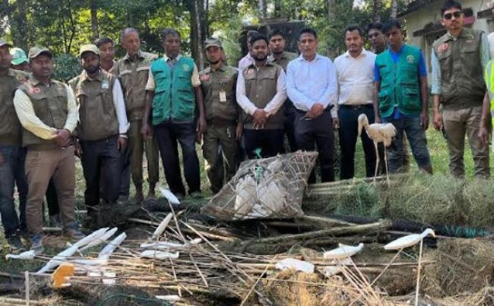 উখিয়ায় মাছকারিয়া বিলে বন বিভাগের অভিযান, জীবন্ত বক উদ্ধার