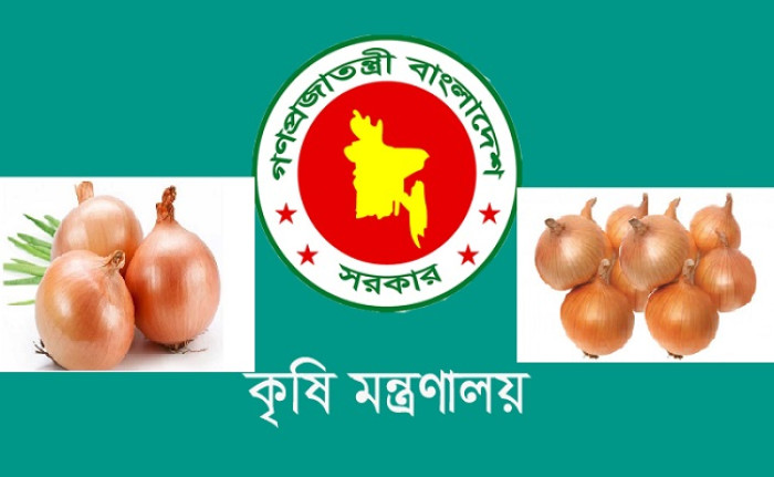 বাজার সহনীয় রাখতে পেঁয়াজ আমদানির অনুমতি