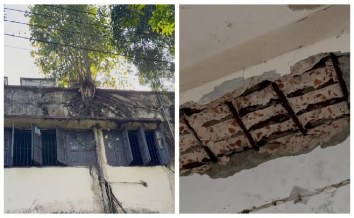 চৌদ্দগ্রামে হাসপাতালের ভবনের দেয়ালে পরগাছা, খসে পড়ছে পলেস্তারা