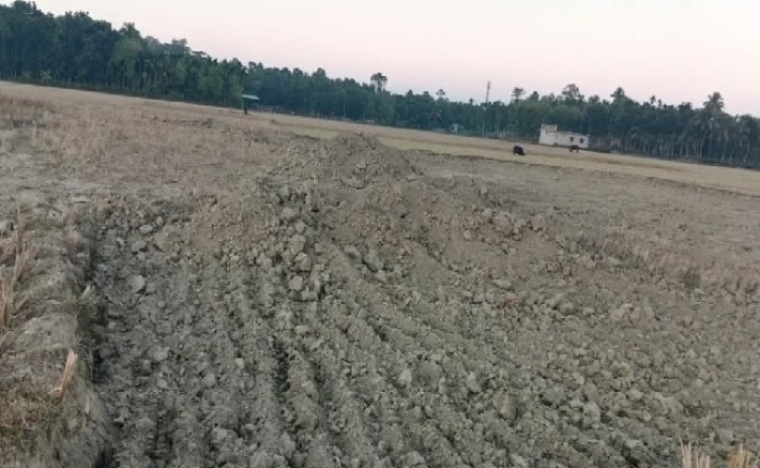 ঈদগাঁওয়ে ফসলী জমির টপসয়েল কেটে নিচ্ছে ভাটা মালিকরা!