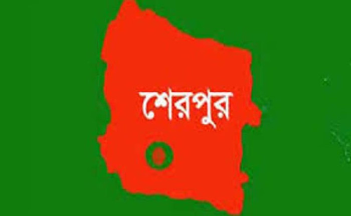 শেরপুরে সড়ক দুর্ঘটনায় গৃহবধূ নিহত: বাস আটক