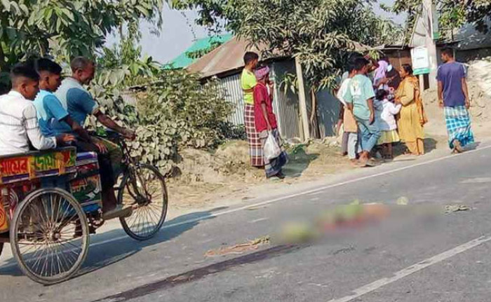 বগুড়ায় ট্রাক চাপায় মা-মেয়ে নিহত