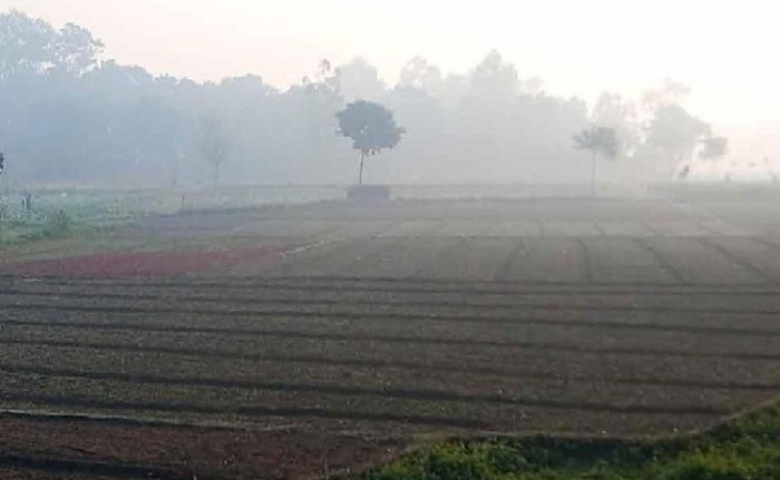 তেঁতুলিয়ায় মৃদু শৈত্যপ্রবাহ, তাপমাত্রা ৯ ডিগ্রির ঘরে