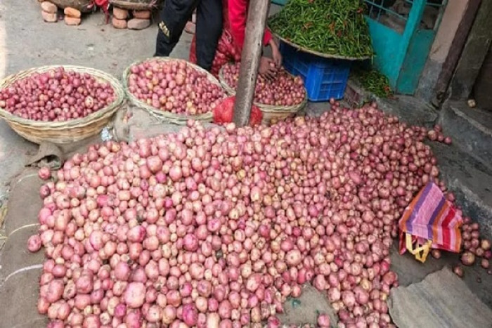দিনাজপুরের নতুন আলুতে আগুন, পুরোনতেই ভরসা